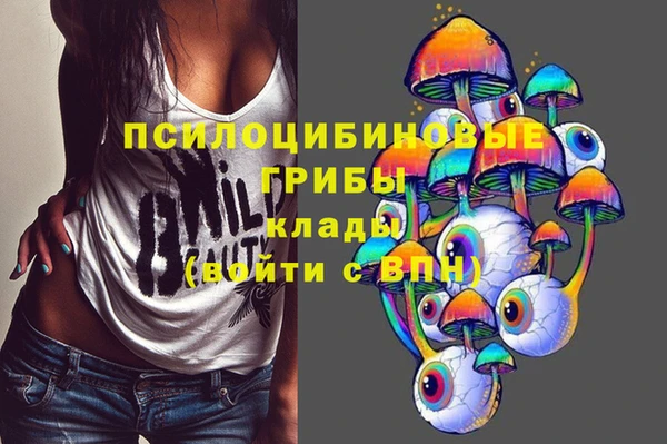 ешки Абинск