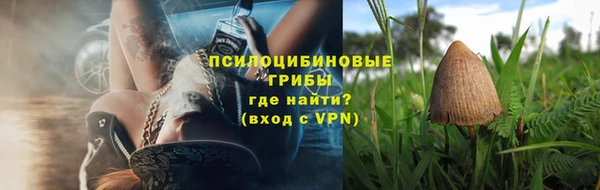 гидра Абдулино