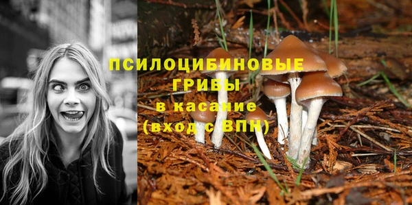 каннабис Абаза