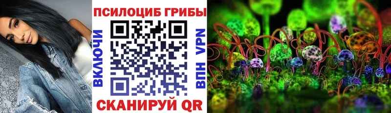 где продают наркотики  Усмань  Галлюциногенные грибы мицелий 